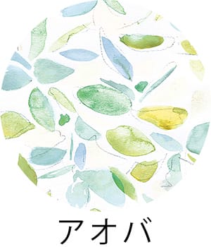 アオバ