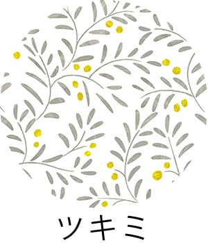 ツキミ