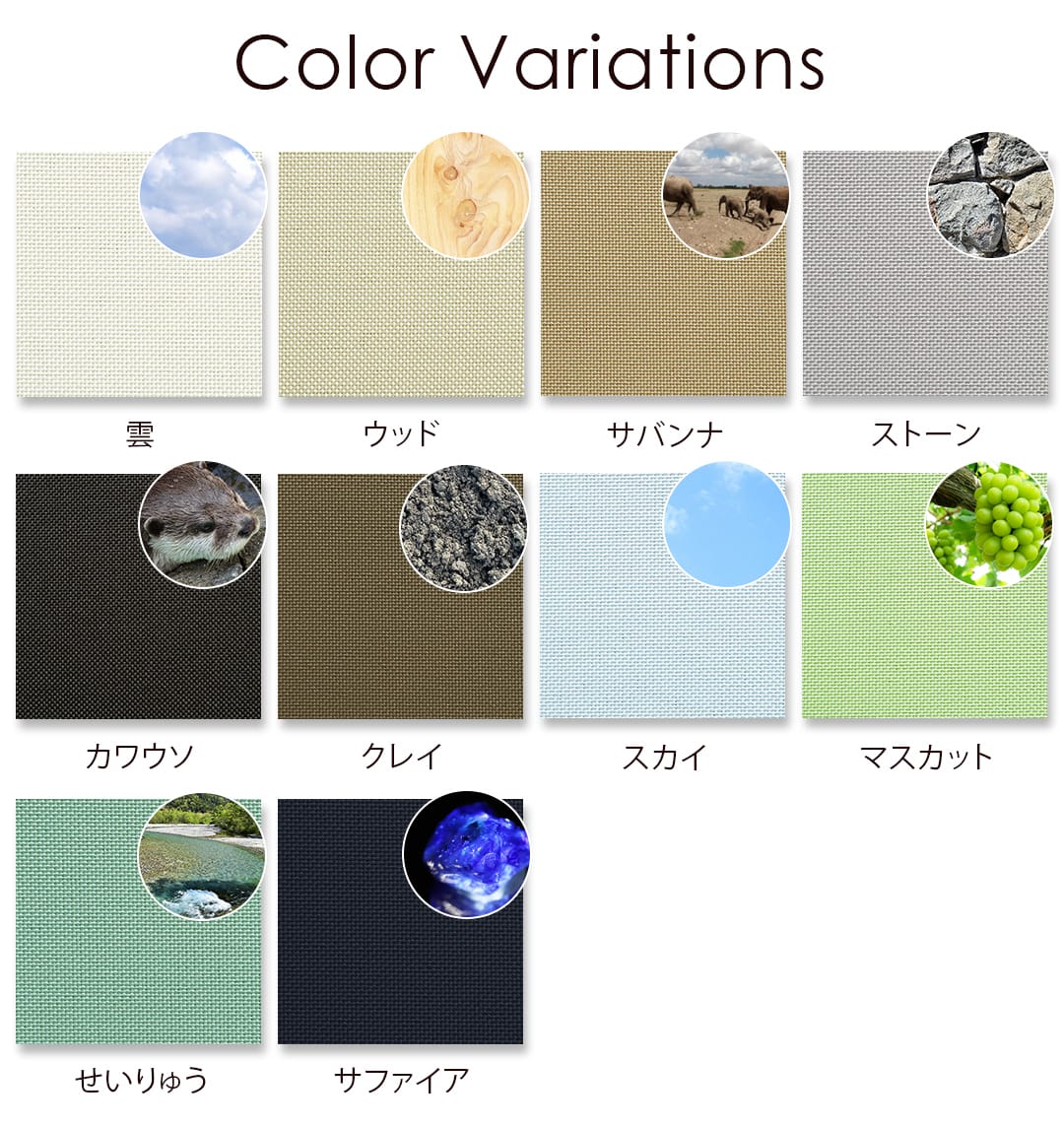 10色のカラーバリエーションのイメージ画像