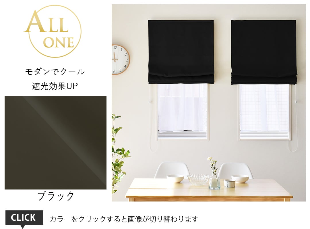 シェード オールワン ブラック
