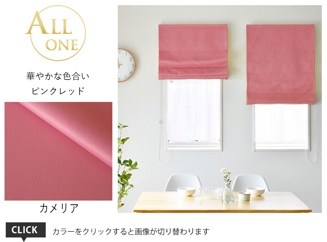 シェード オールワン カメリア