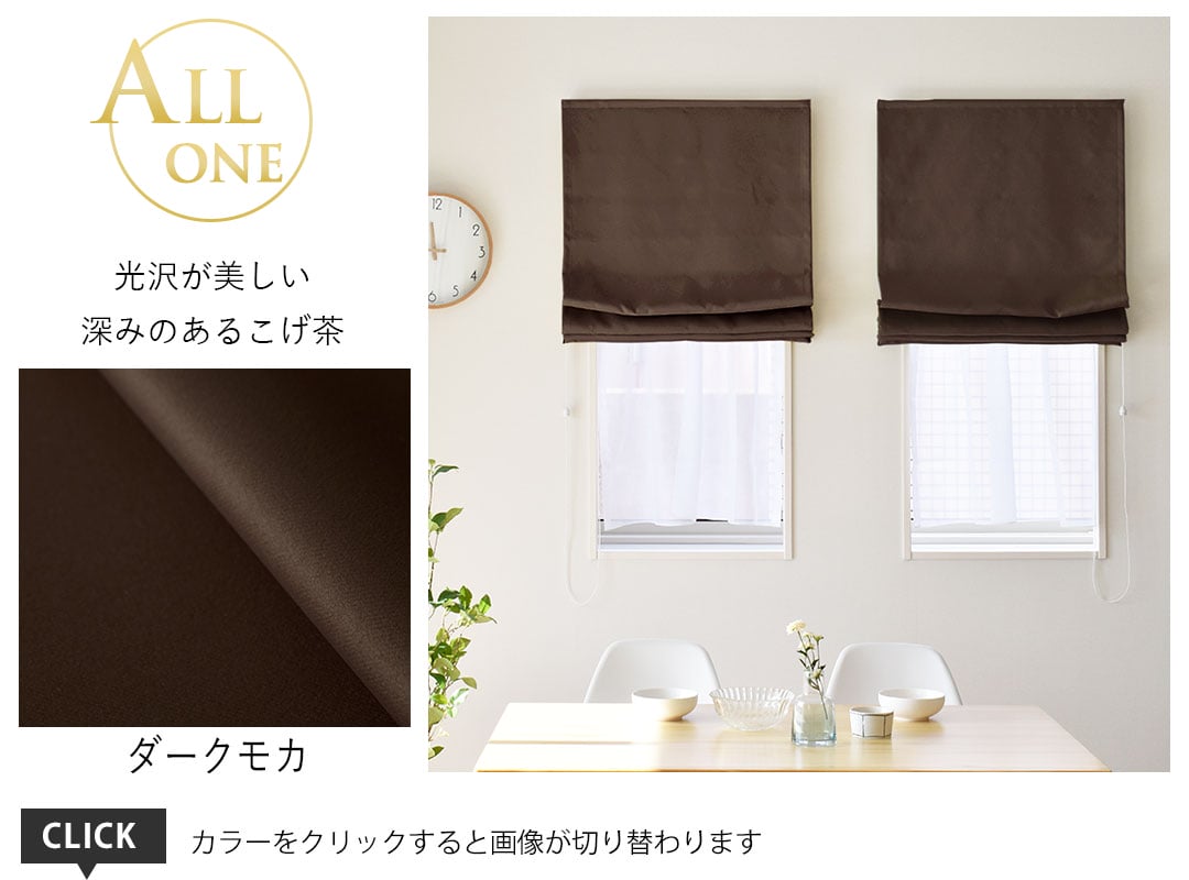 シェード オールワン ダークモカ