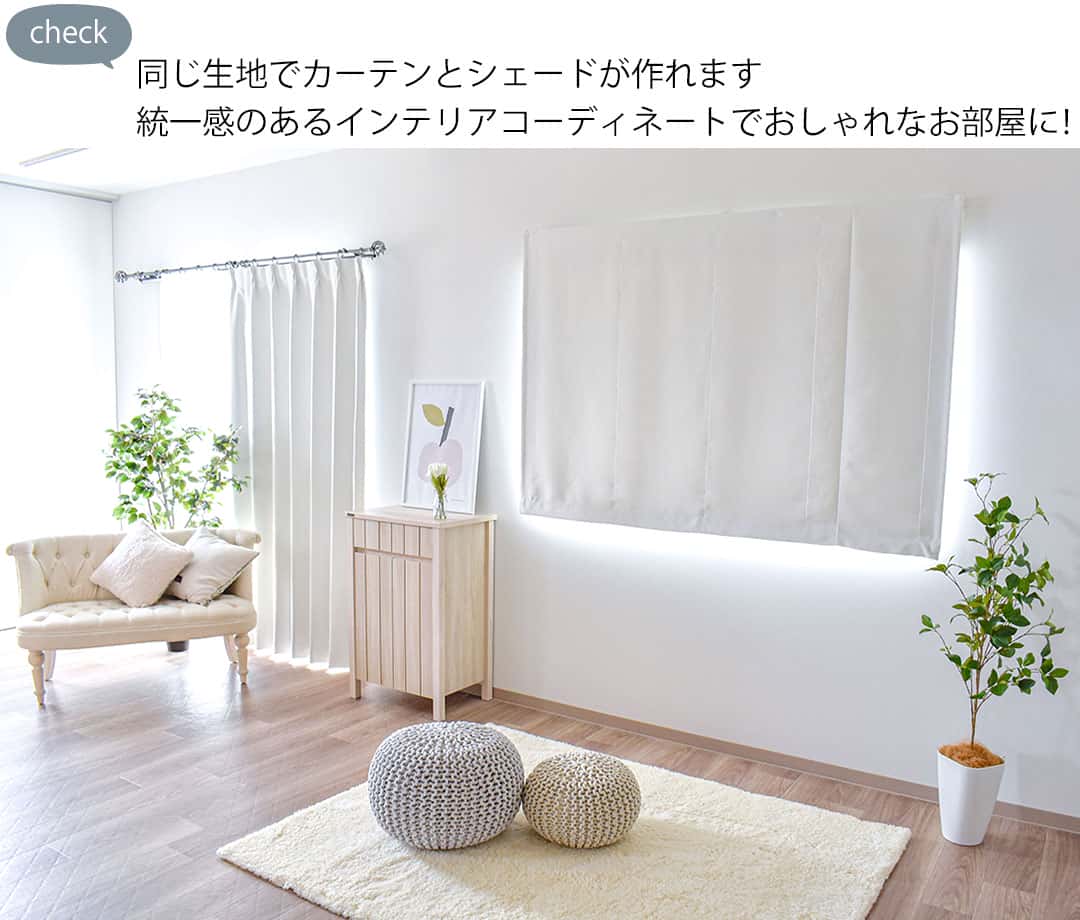 パーフェクトホワイト
