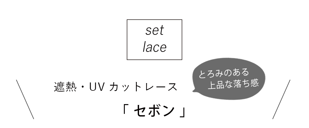 セットレース