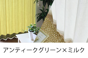 アンティークグリーン×ミルク