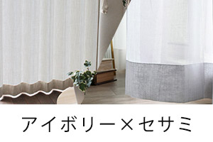 アイボリー×セサミ