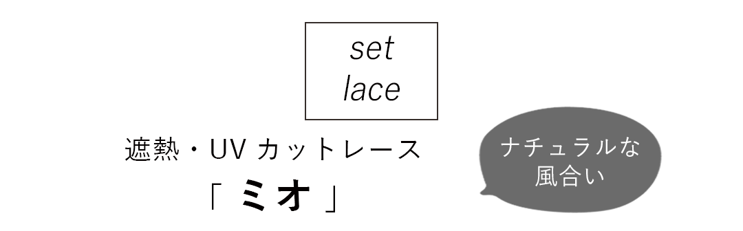 セットレース
