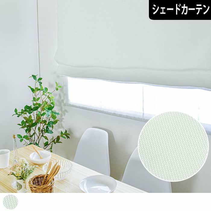 高機能で清潔感がありスッキリと見せるパーフェクトなホワイトシェード
