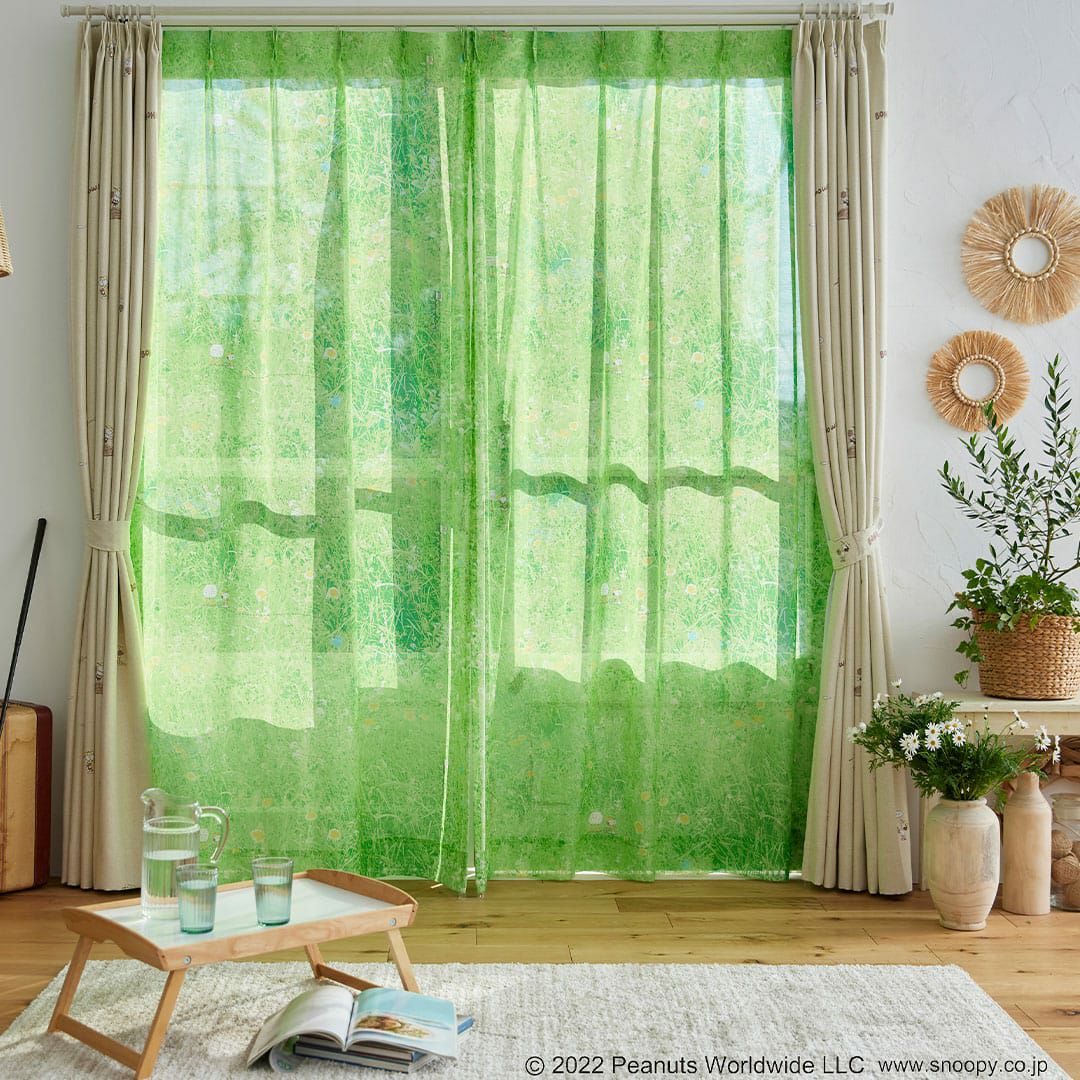 フィールドボイル