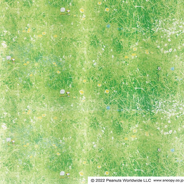 フィールドボイル