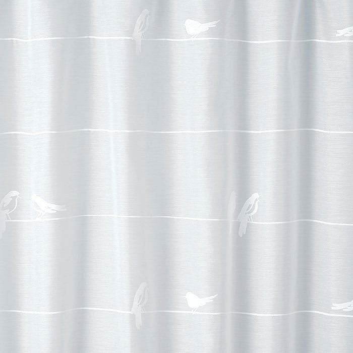 シングバードボイル