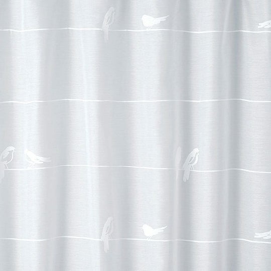 シングバードボイル