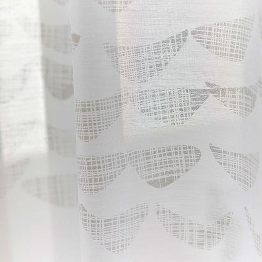 ナミナミボイル