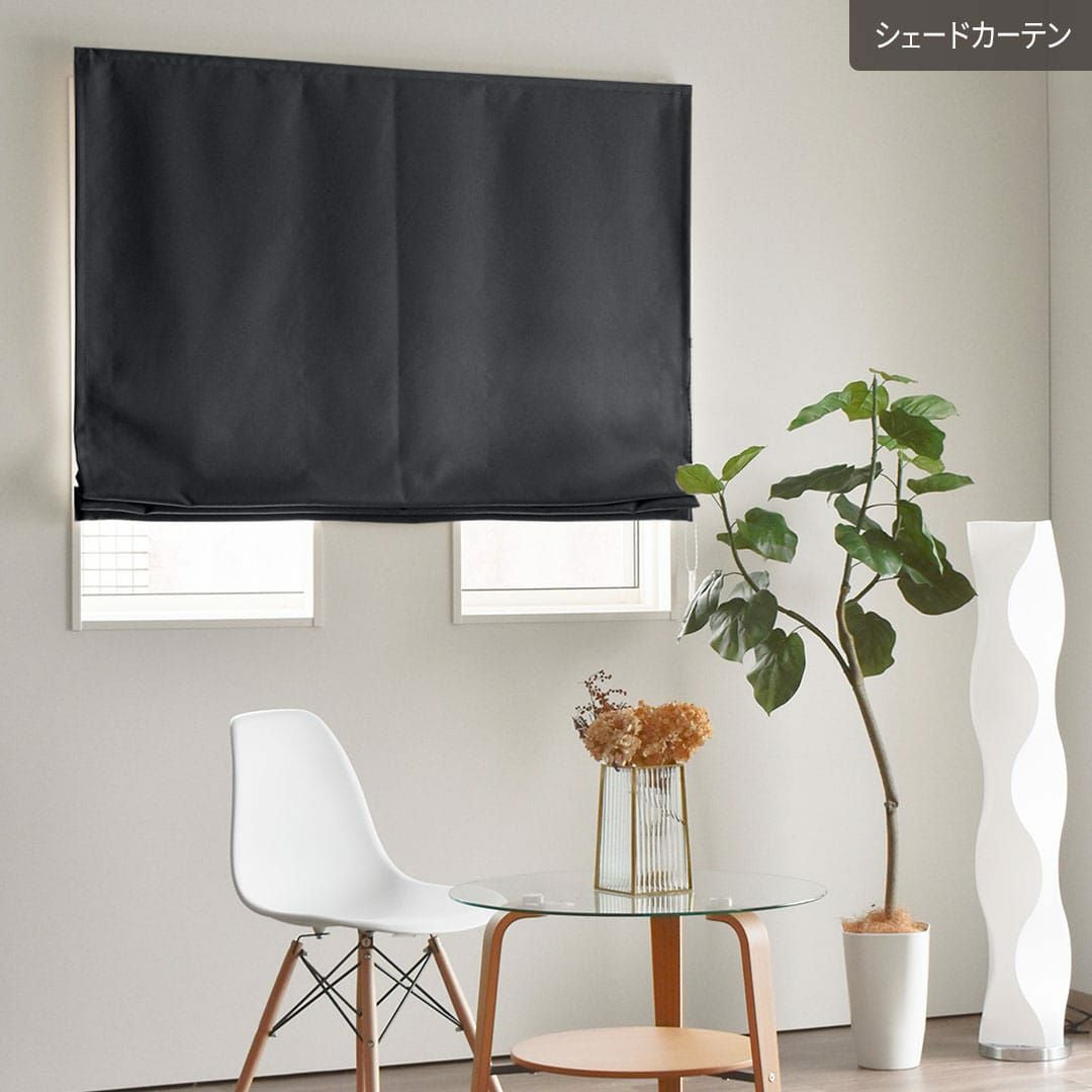 シェードカーテン ブラック 000000000315-03.jpg?size=xl&w= カーテン