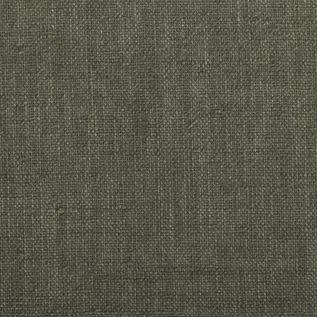 オリーブ（OLI）