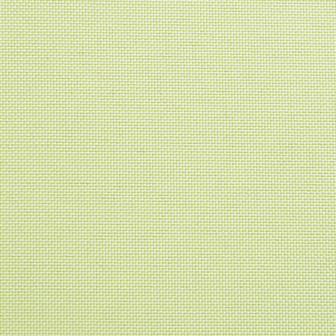 マーガレット(シャーベットイエロー色)