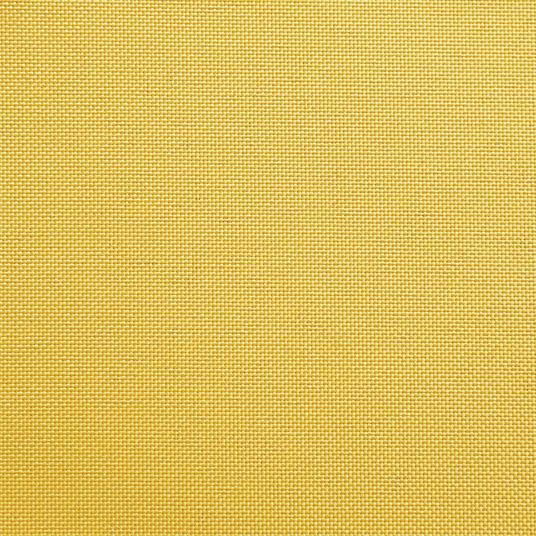 稲穂(ブロンド色)