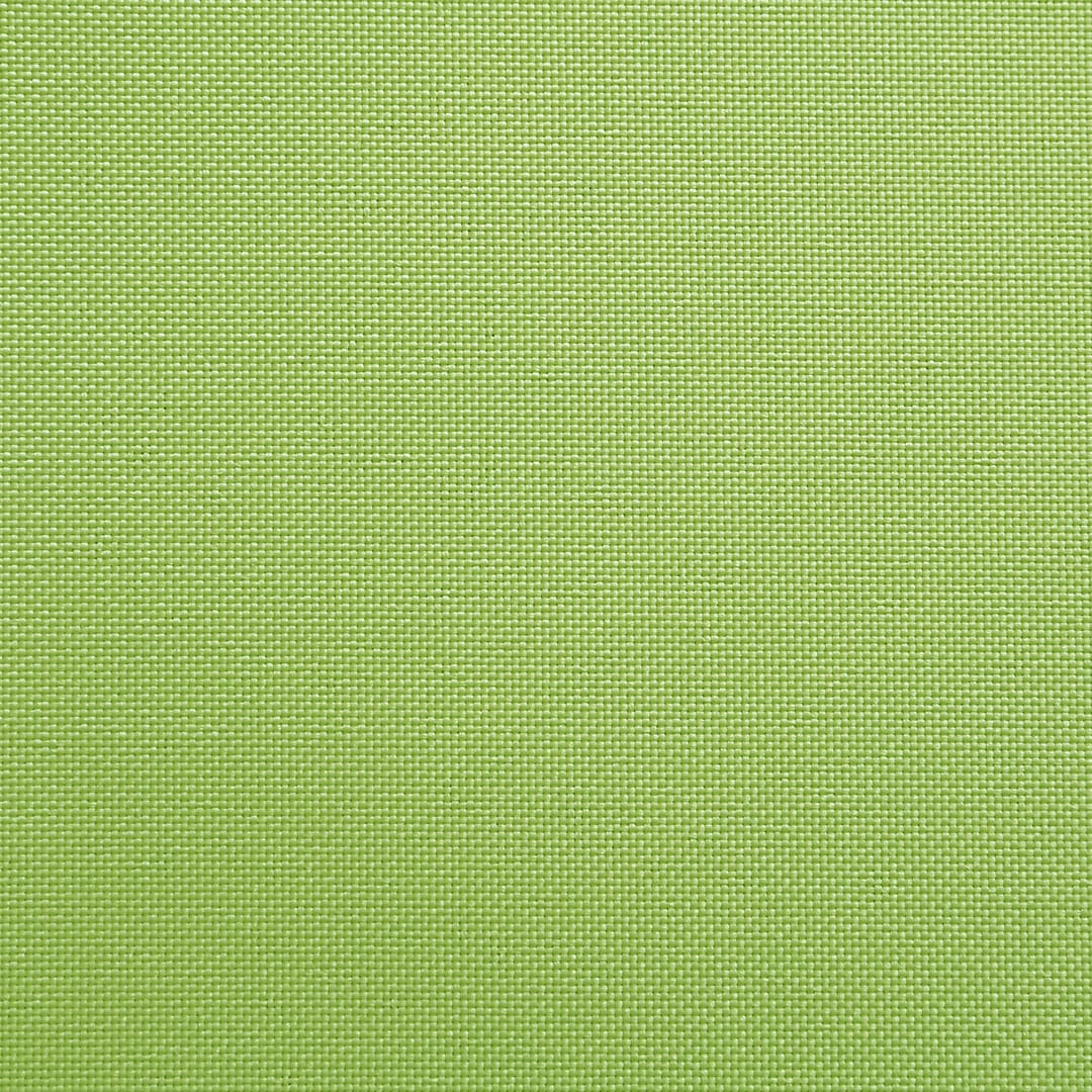 メジロ(グリーンティ色)