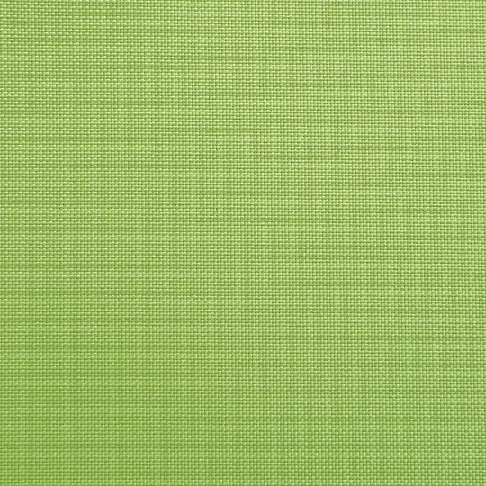 メジロ(グリーンティ色)