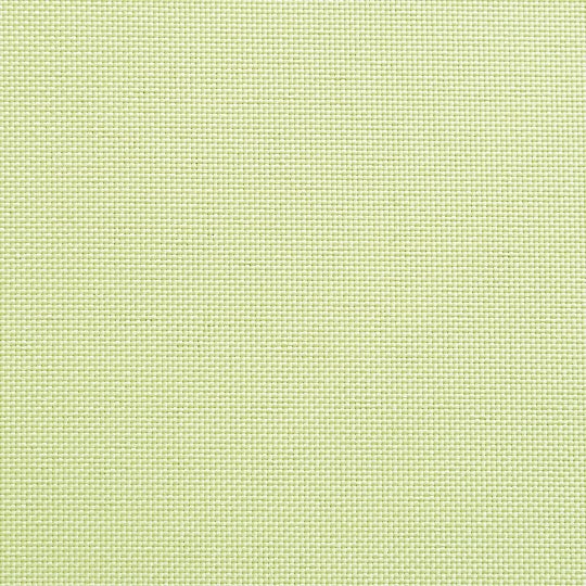 マーガレット(シャーベットイエロー色)