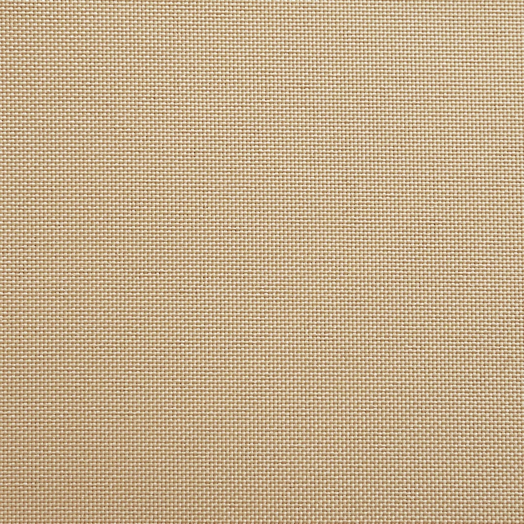 木の実(アーモンド色)