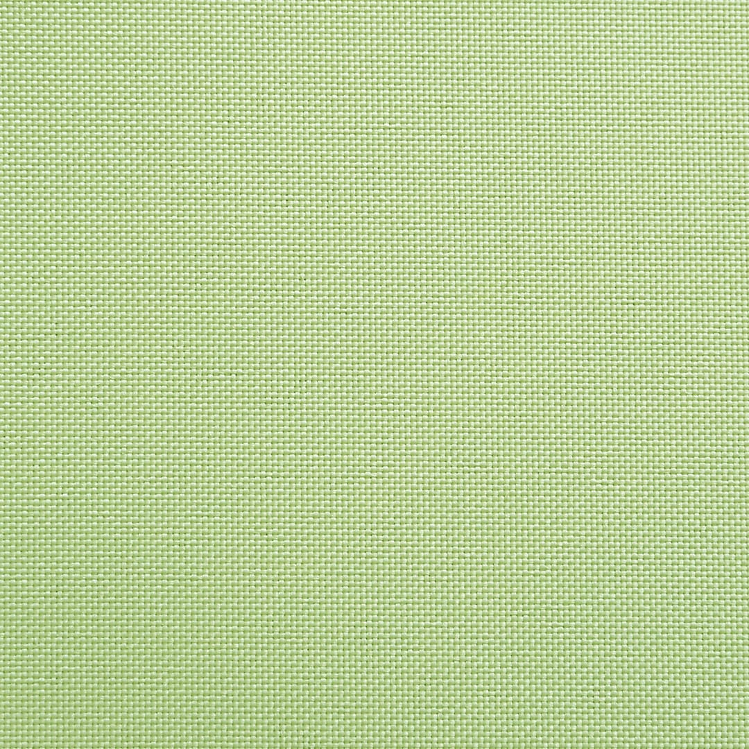 ローリエ(薄緑色)