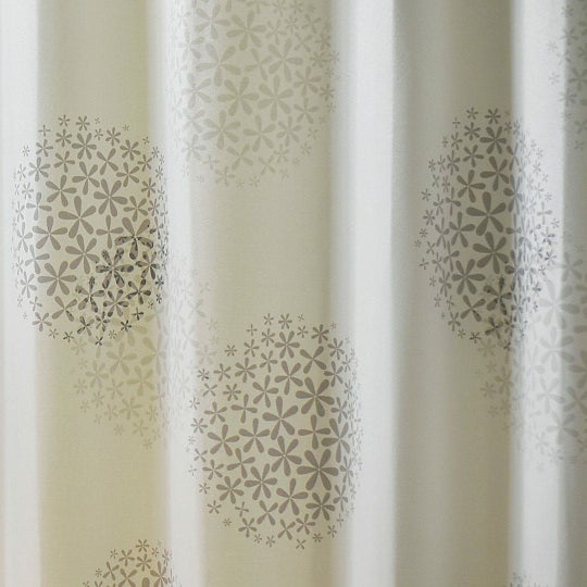 シオン(アイボリー)