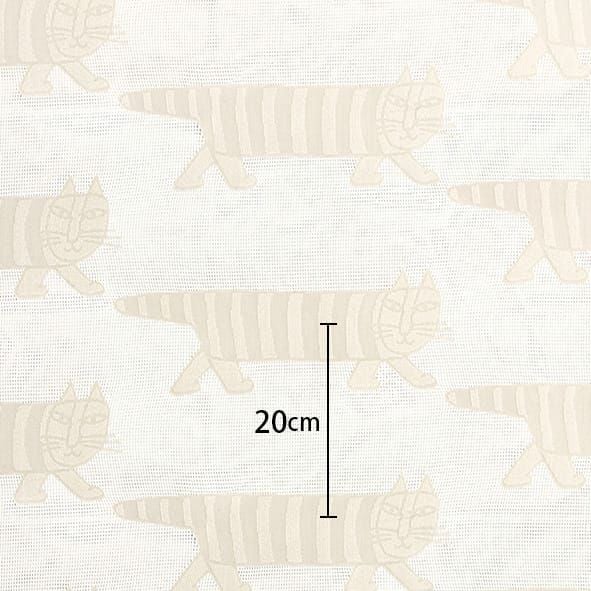 マイキージャカードレース