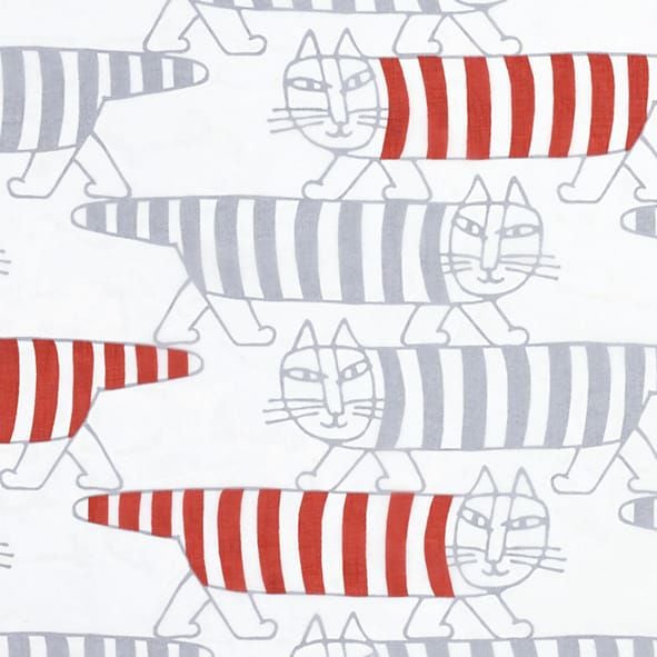 マイキーボイルレース