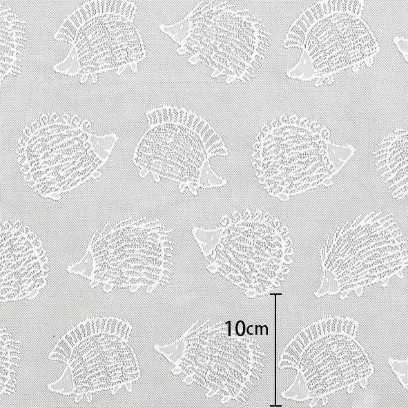 ハリネズミジャカードレース