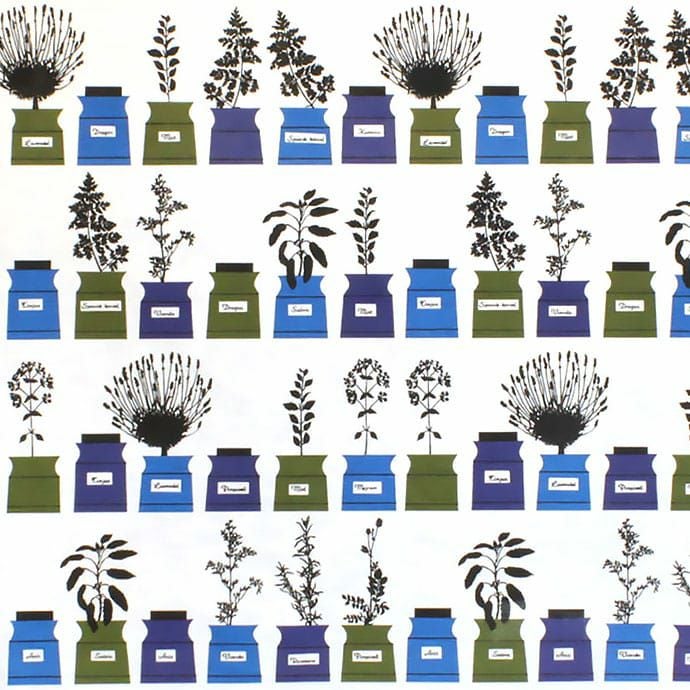 ペーションズクリッドスコープ(ブルー)