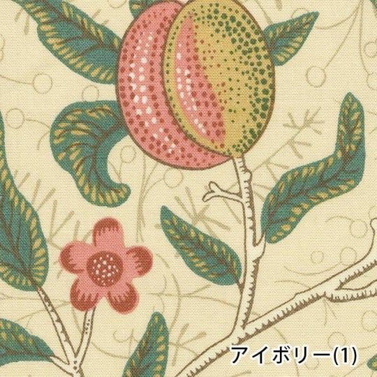 フルーツ(1)アイボリー