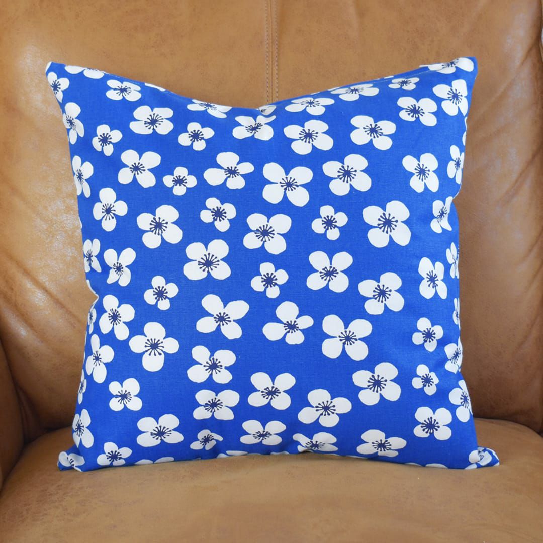 ベラミ(ブルー)