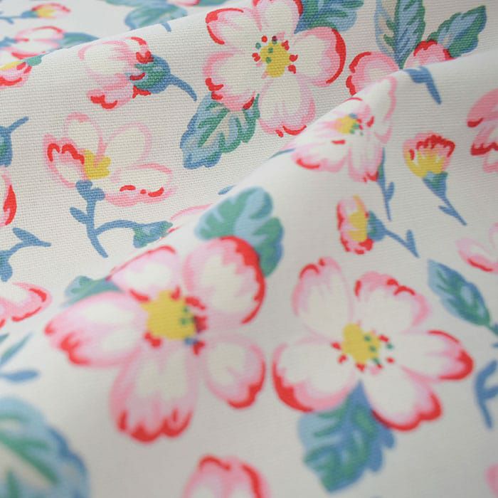 クライミングブロッサム