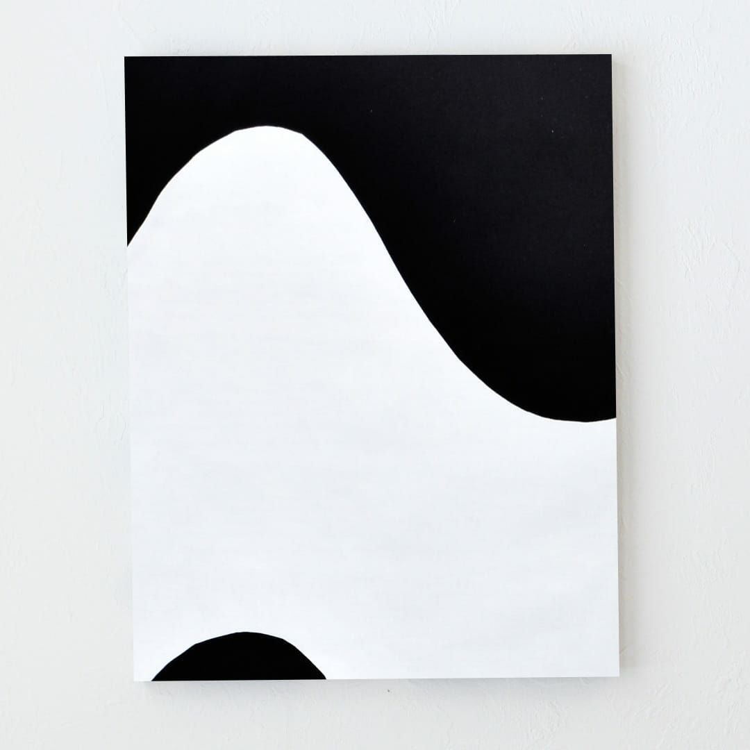 中央がホワイト