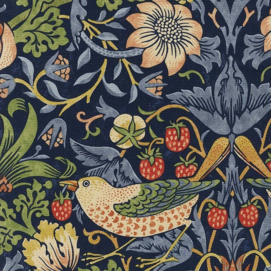 イチゴドロボウ(313(ネイビー))