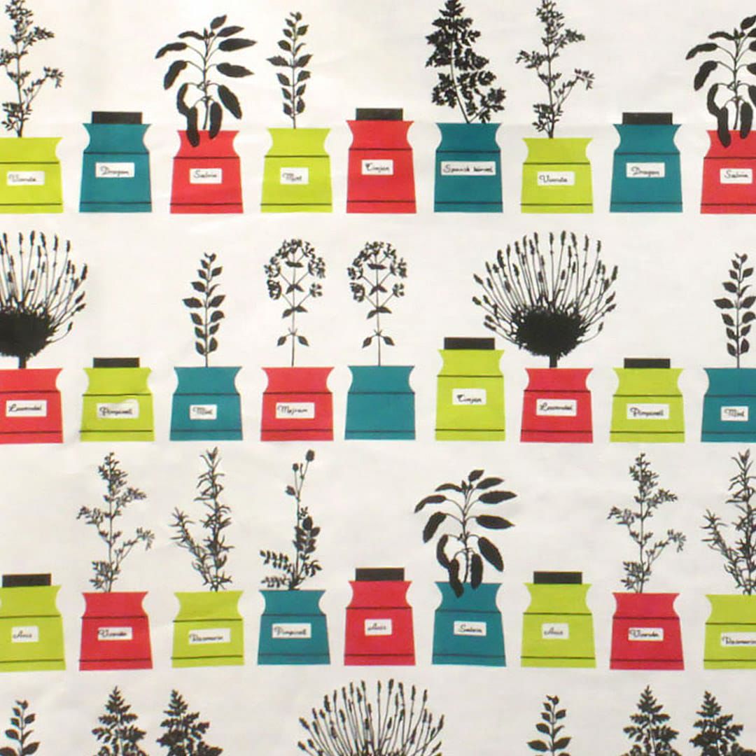 ペｰションズ(ライム)