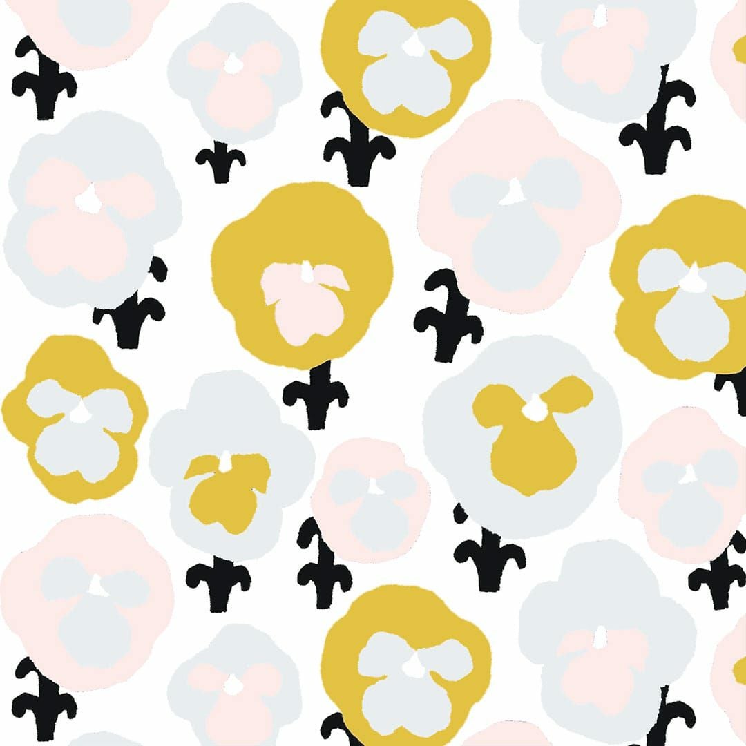 オルヴォッキ(イエロー)