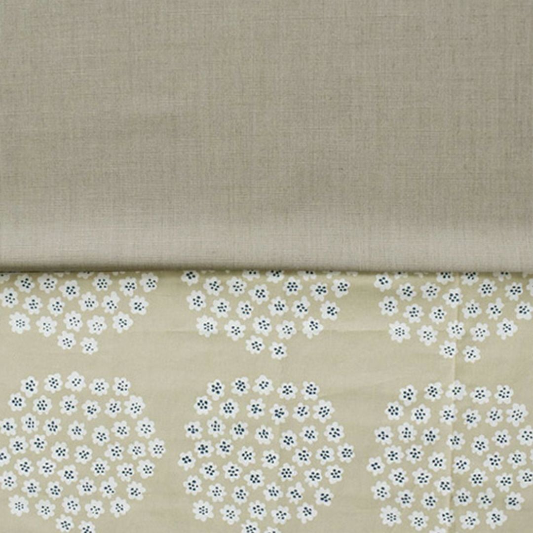 プケッティ×ブラウン