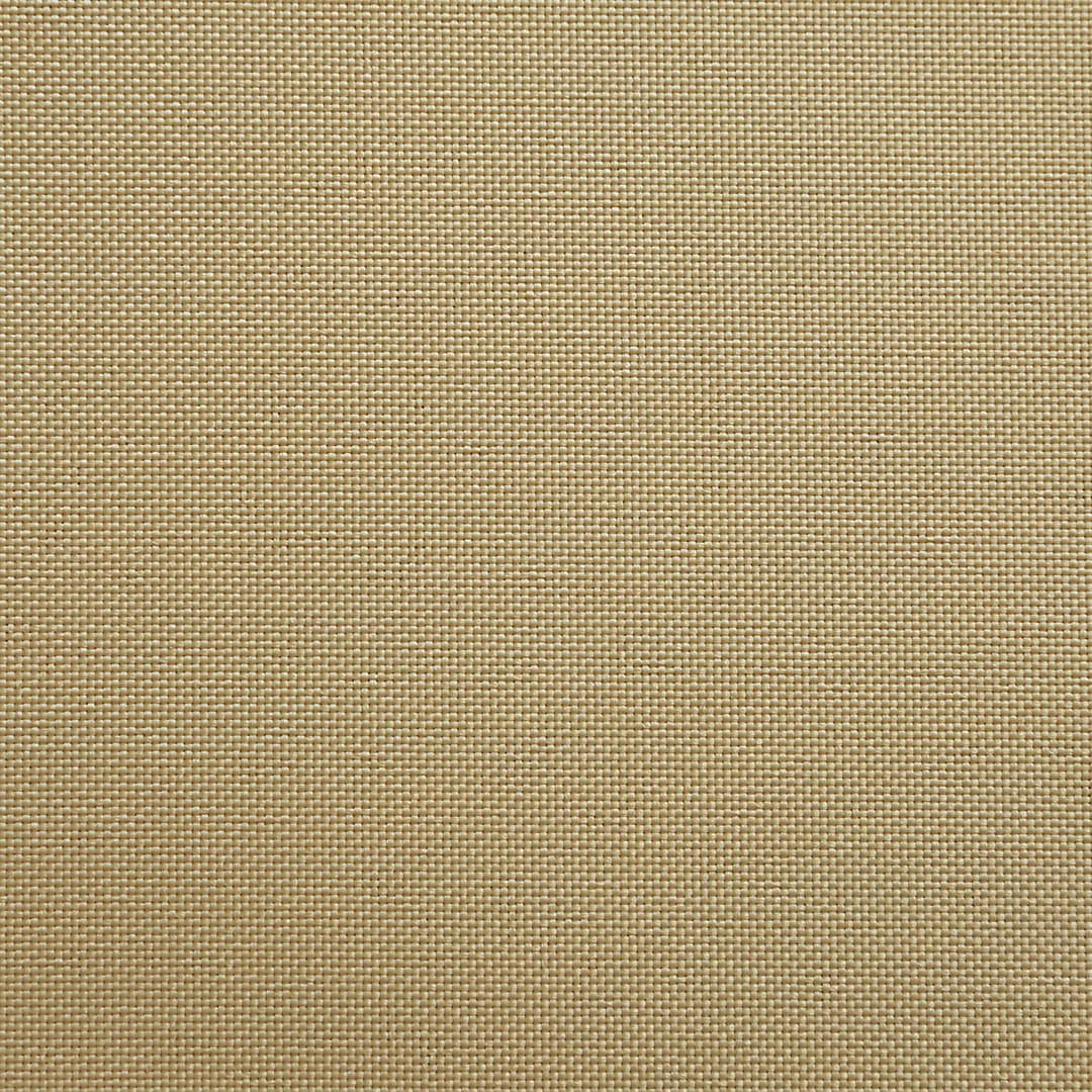 サバンナ(ベージュ色)