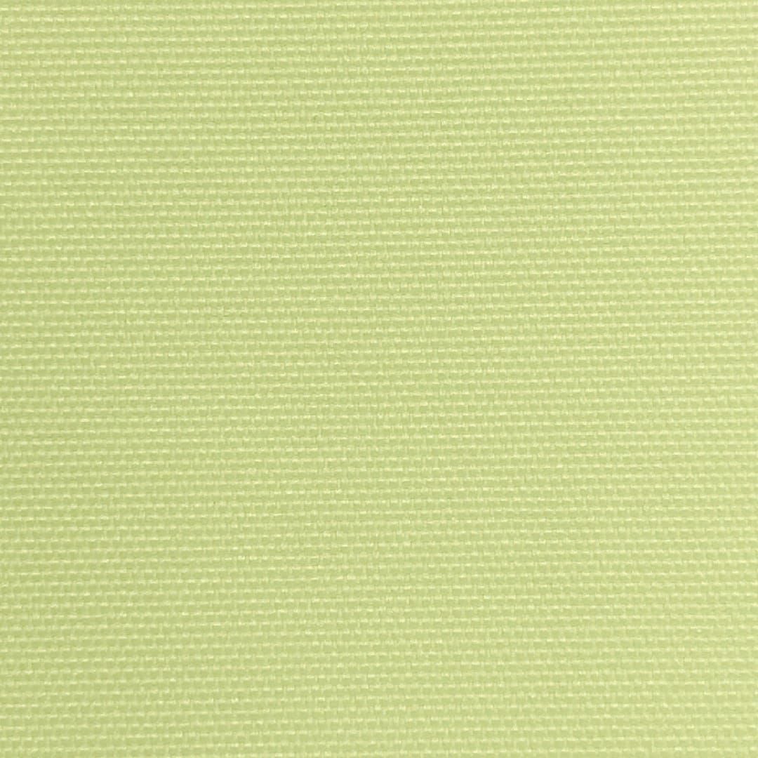 シエロングリーン