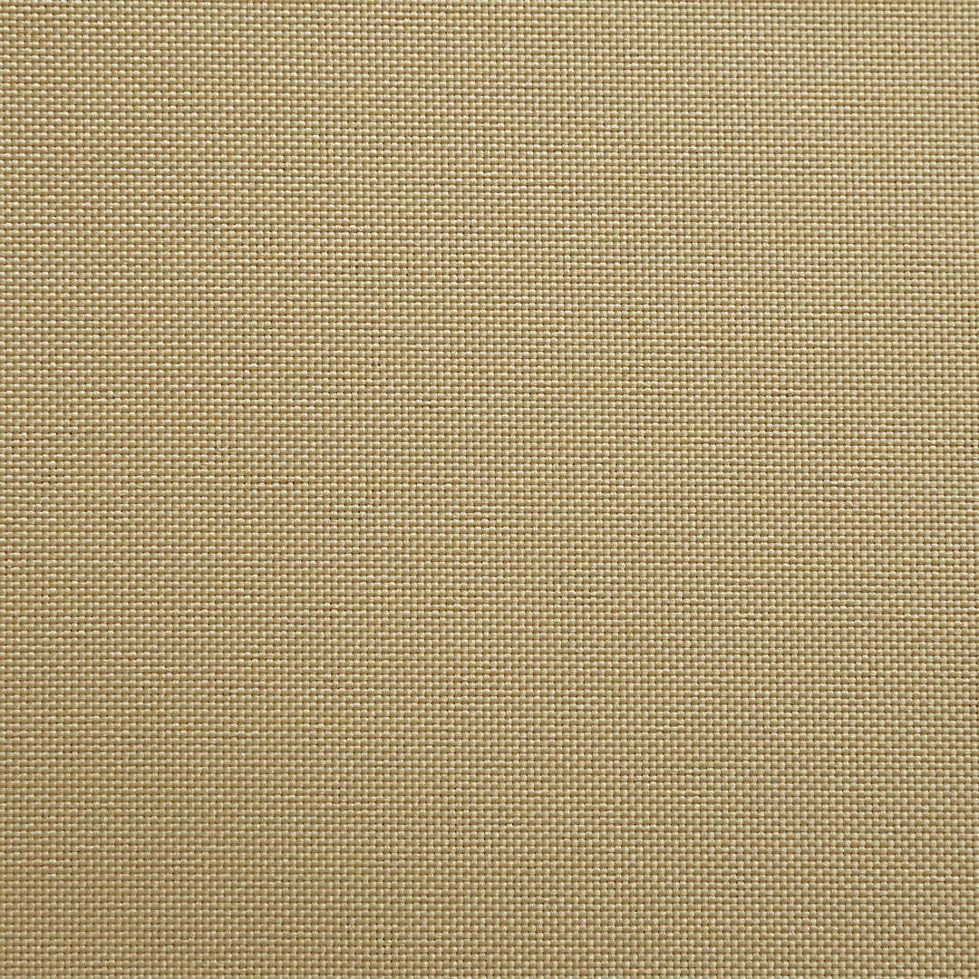 サバンナ(ベージュ色)