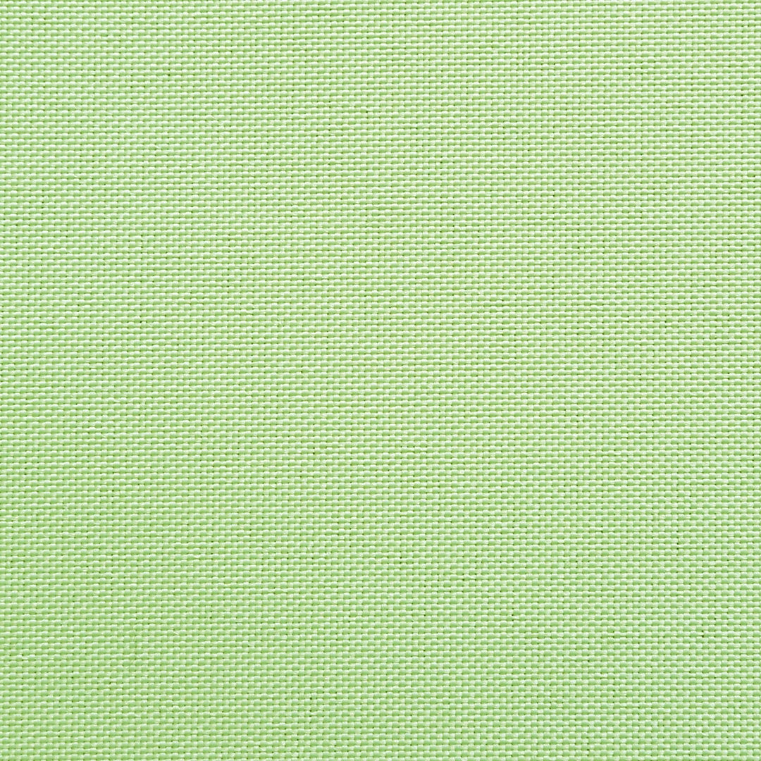 マスカット(黄緑色)