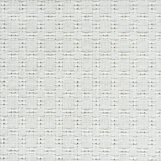 コットンホワイト