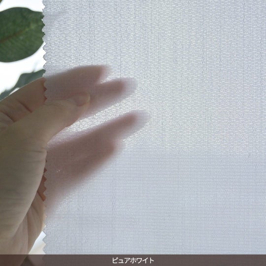 アイボリー