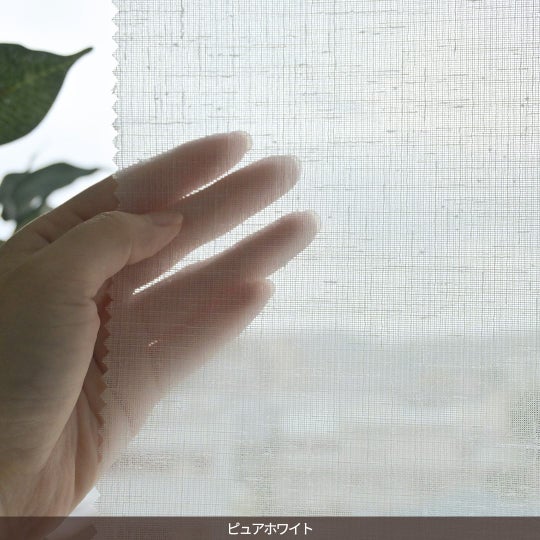 ピュアホワイト