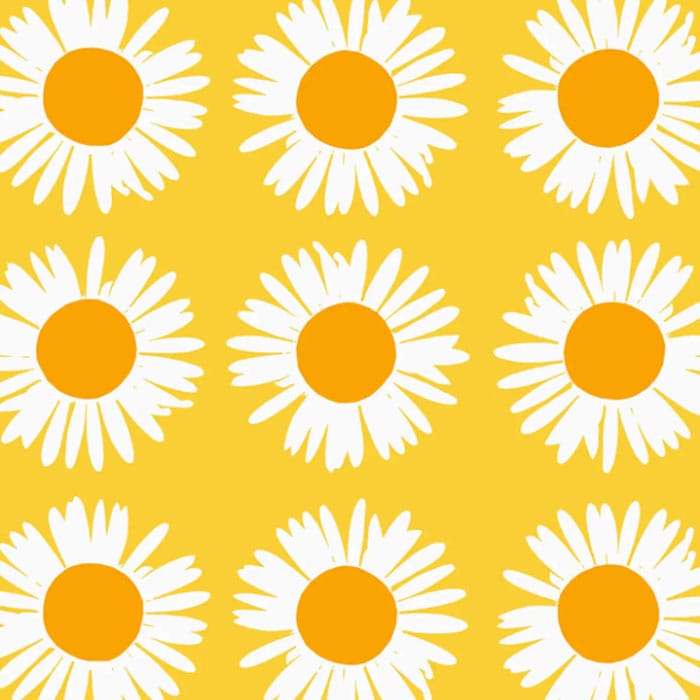 北欧生地】北欧ブランド「marimekko」のアウリンゴンクッカ